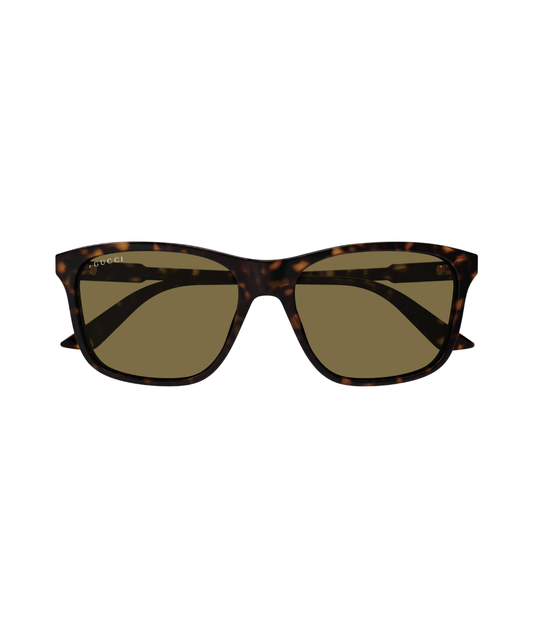 Havana-Brown