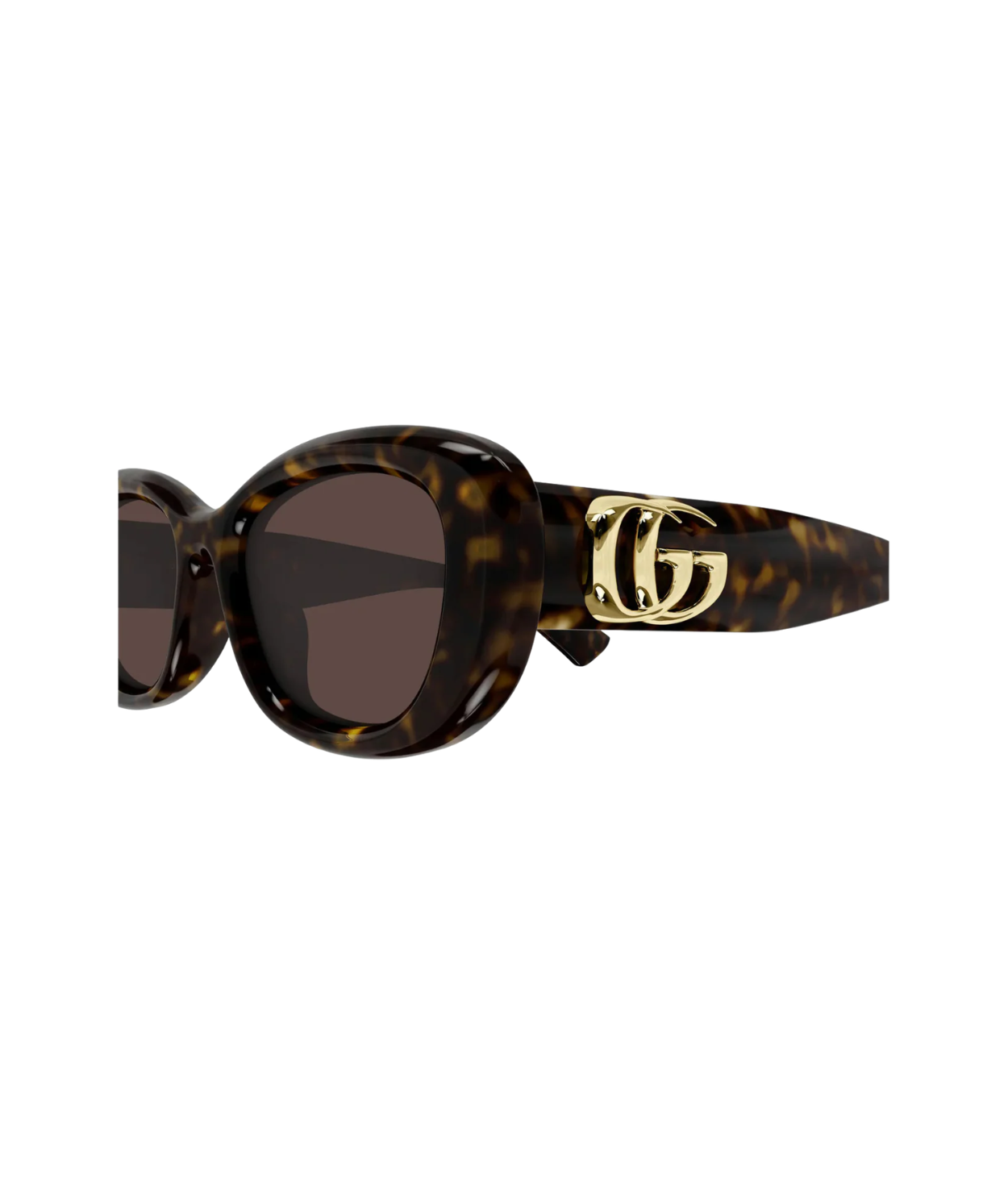 Havana-Brown