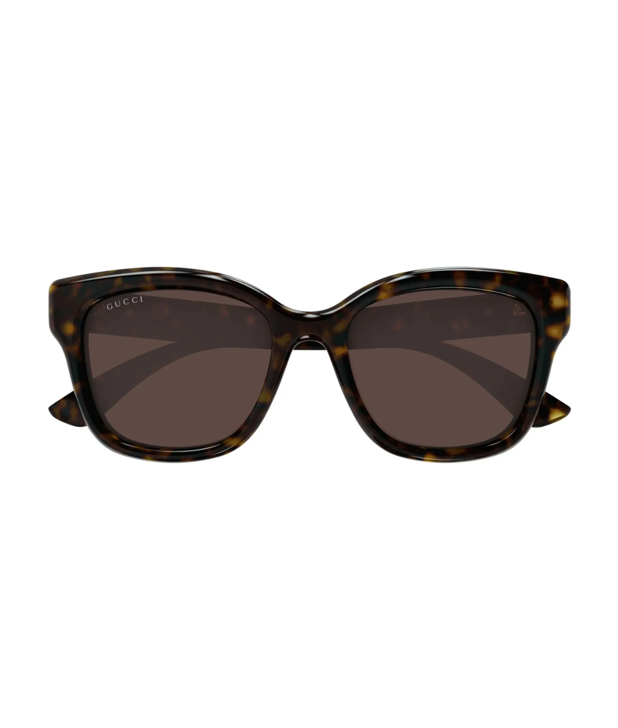 Havana-Brown