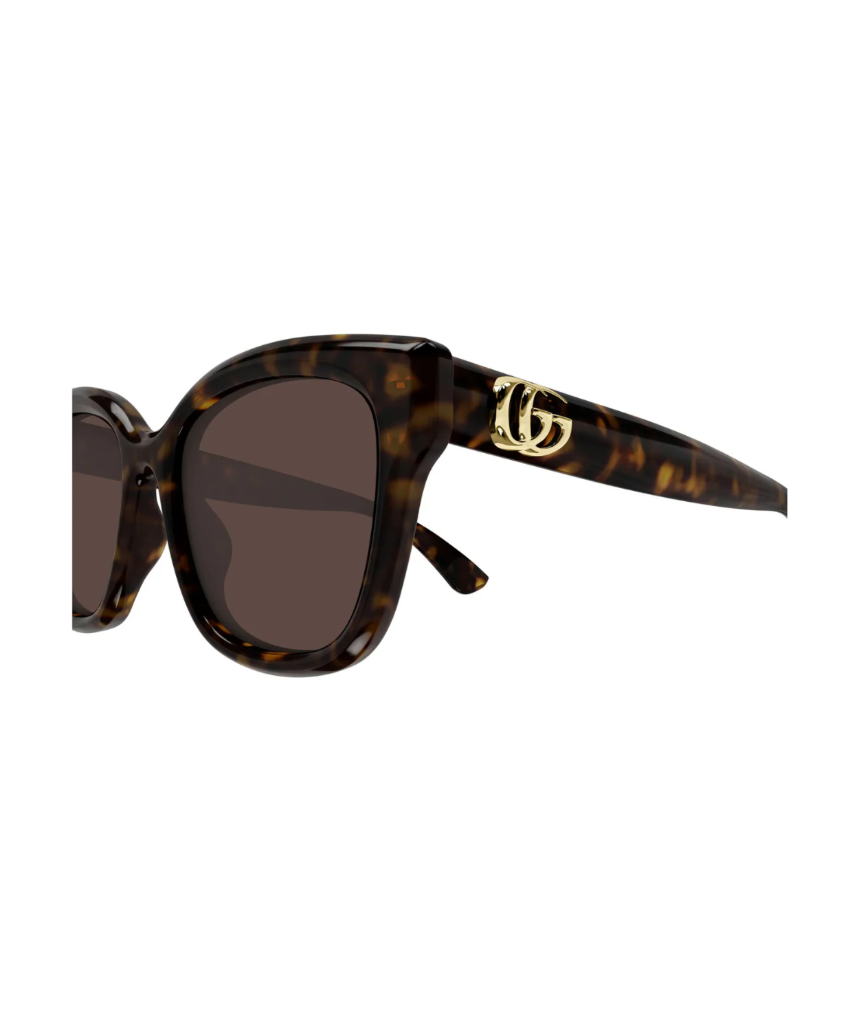 Havana-Brown