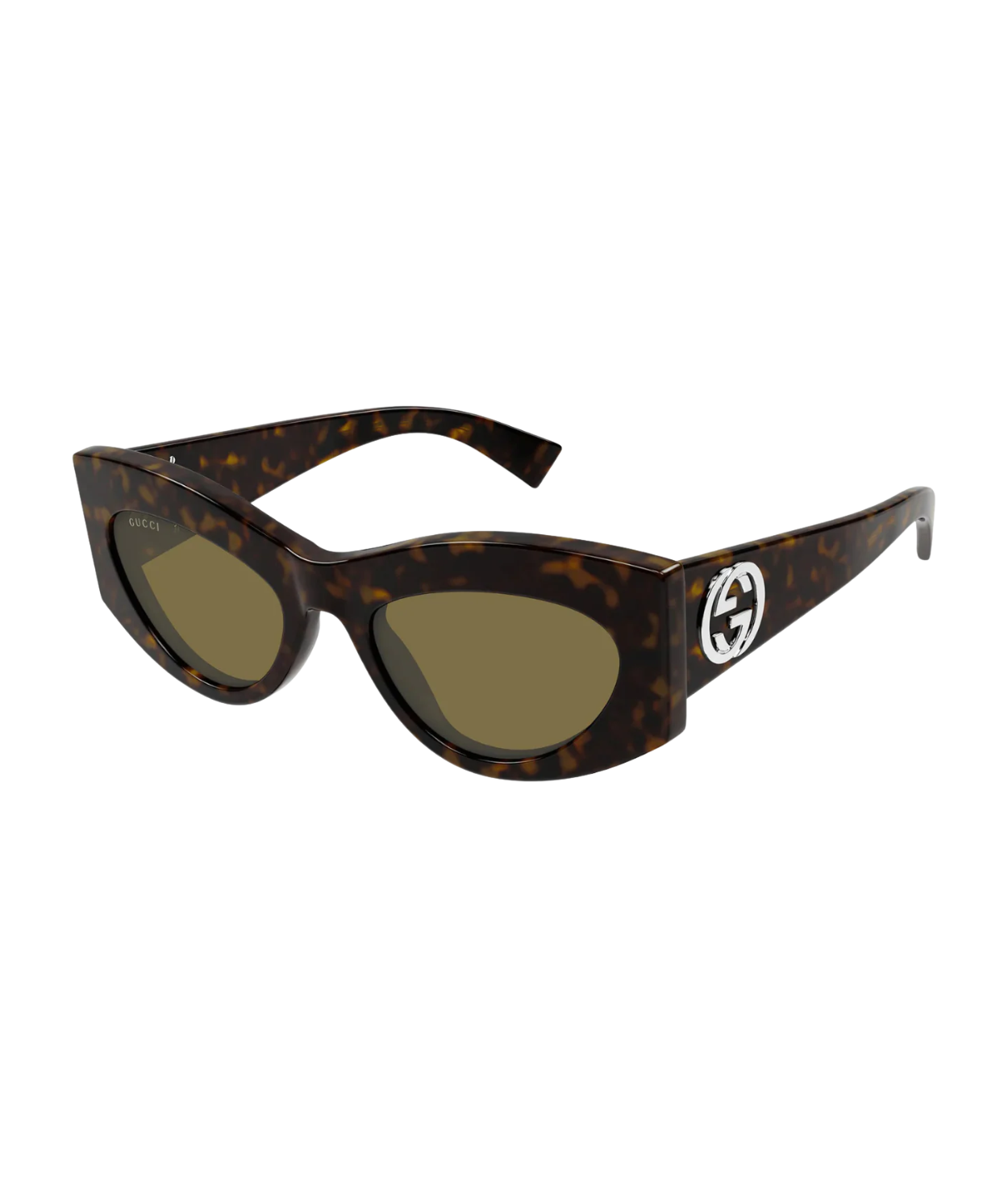 Havana-Brown