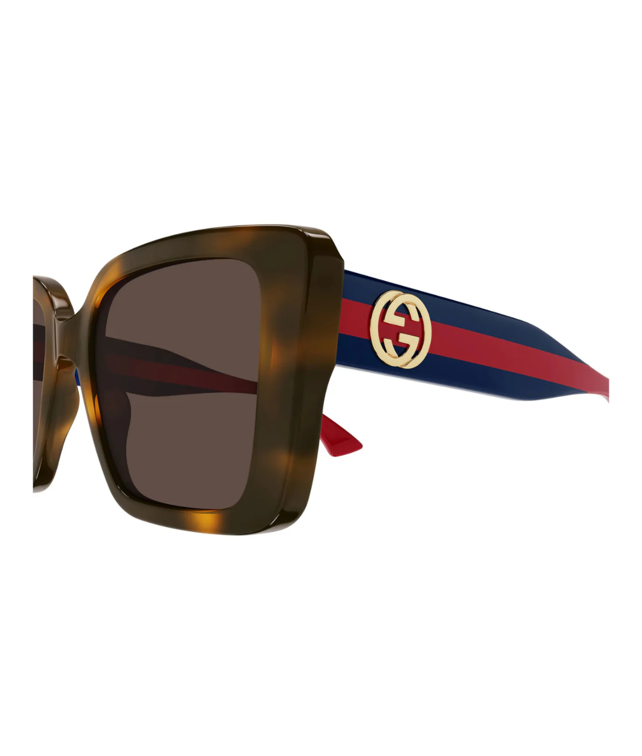 Havana-Blue-Brown
