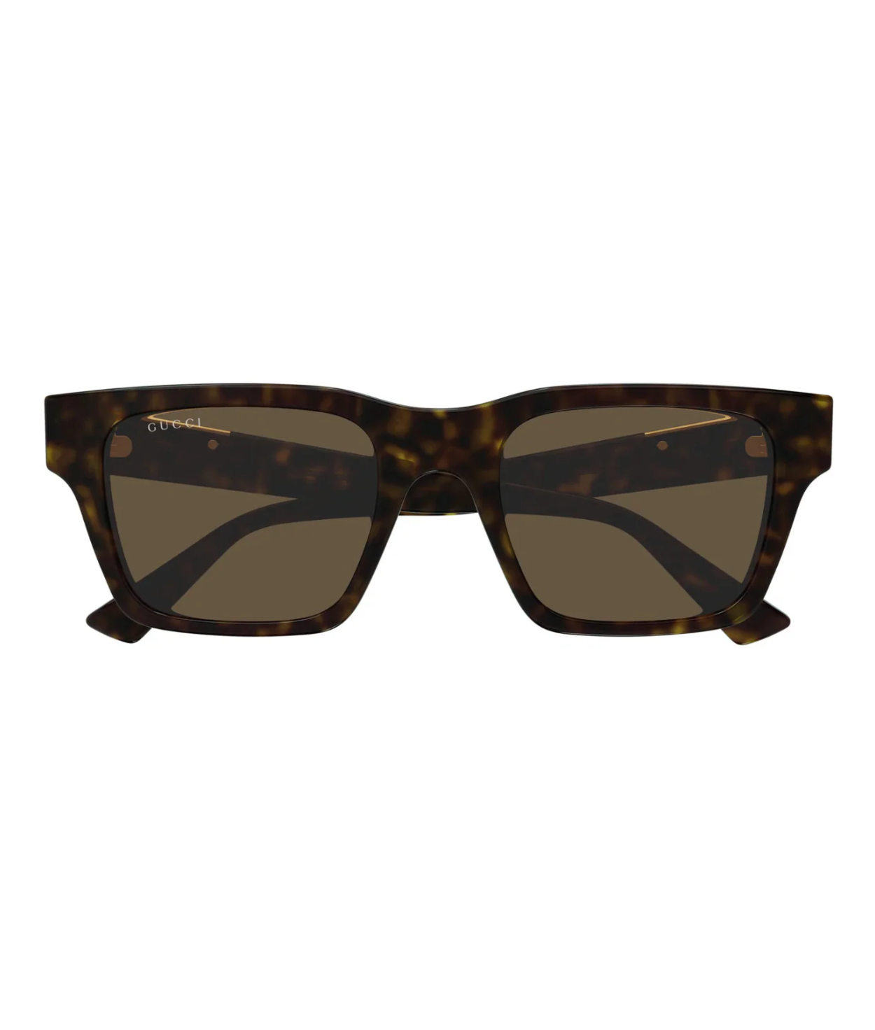 Havana-Brown