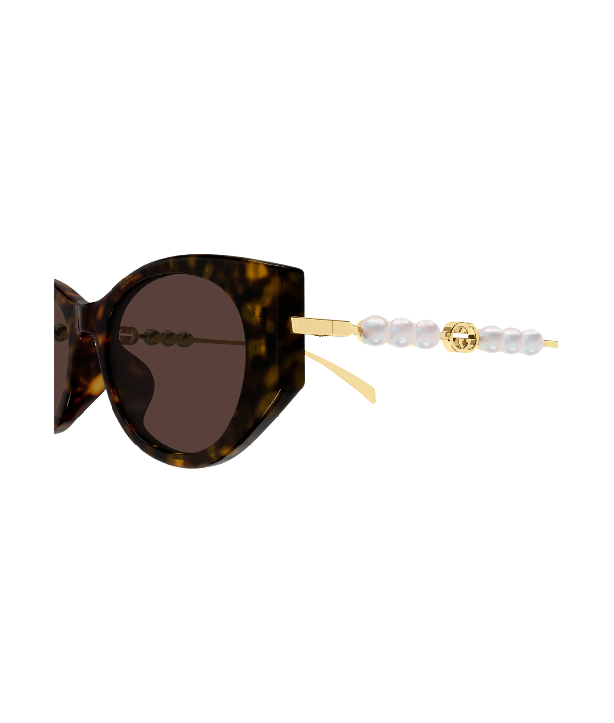 Havana Gold-Brown