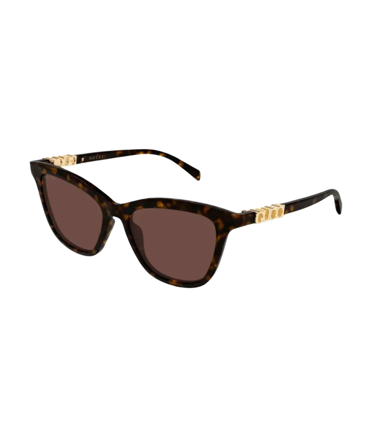 Havana-Brown