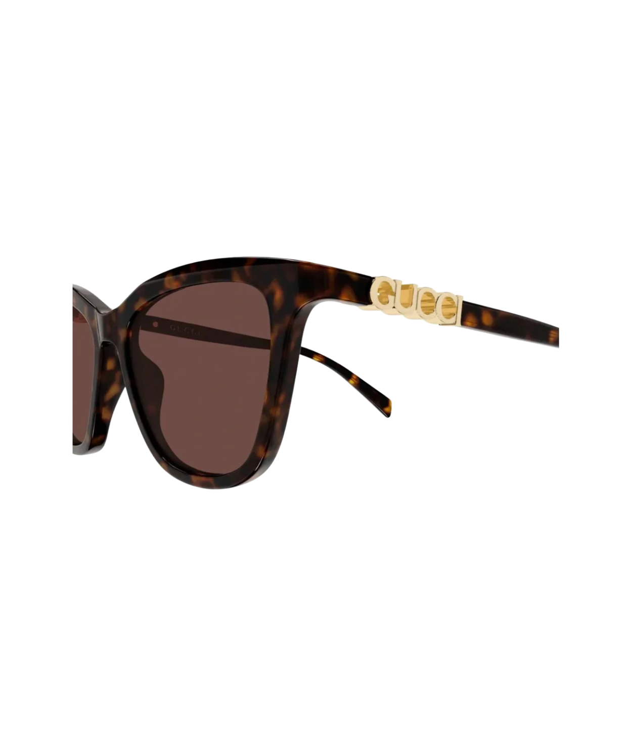 Havana-Brown