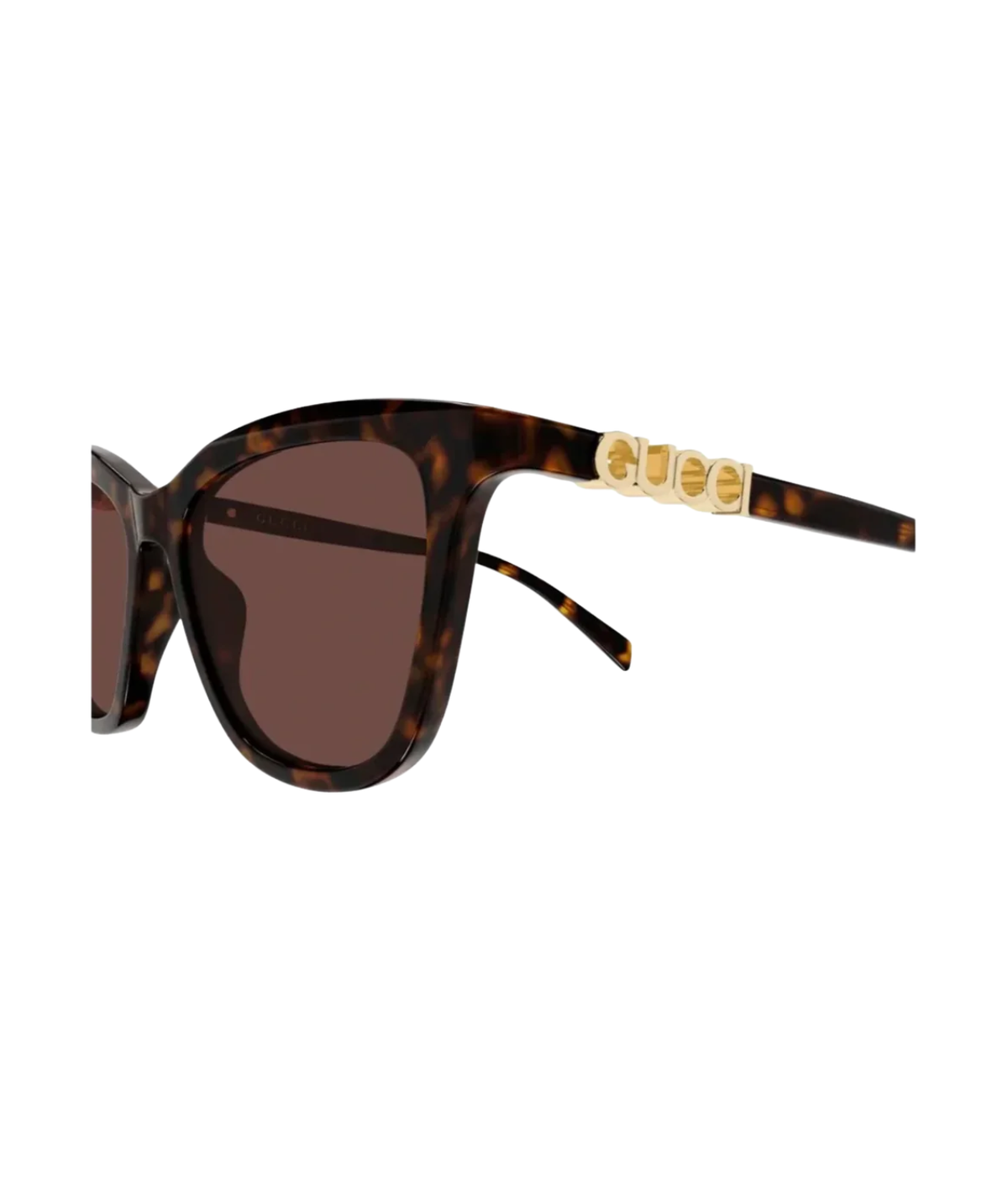 Havana-Brown