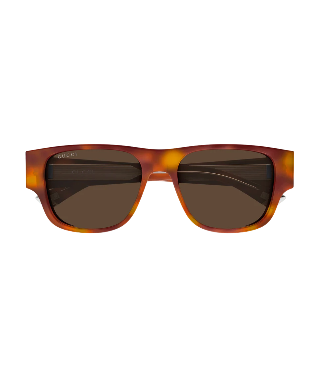 Havana-Brown