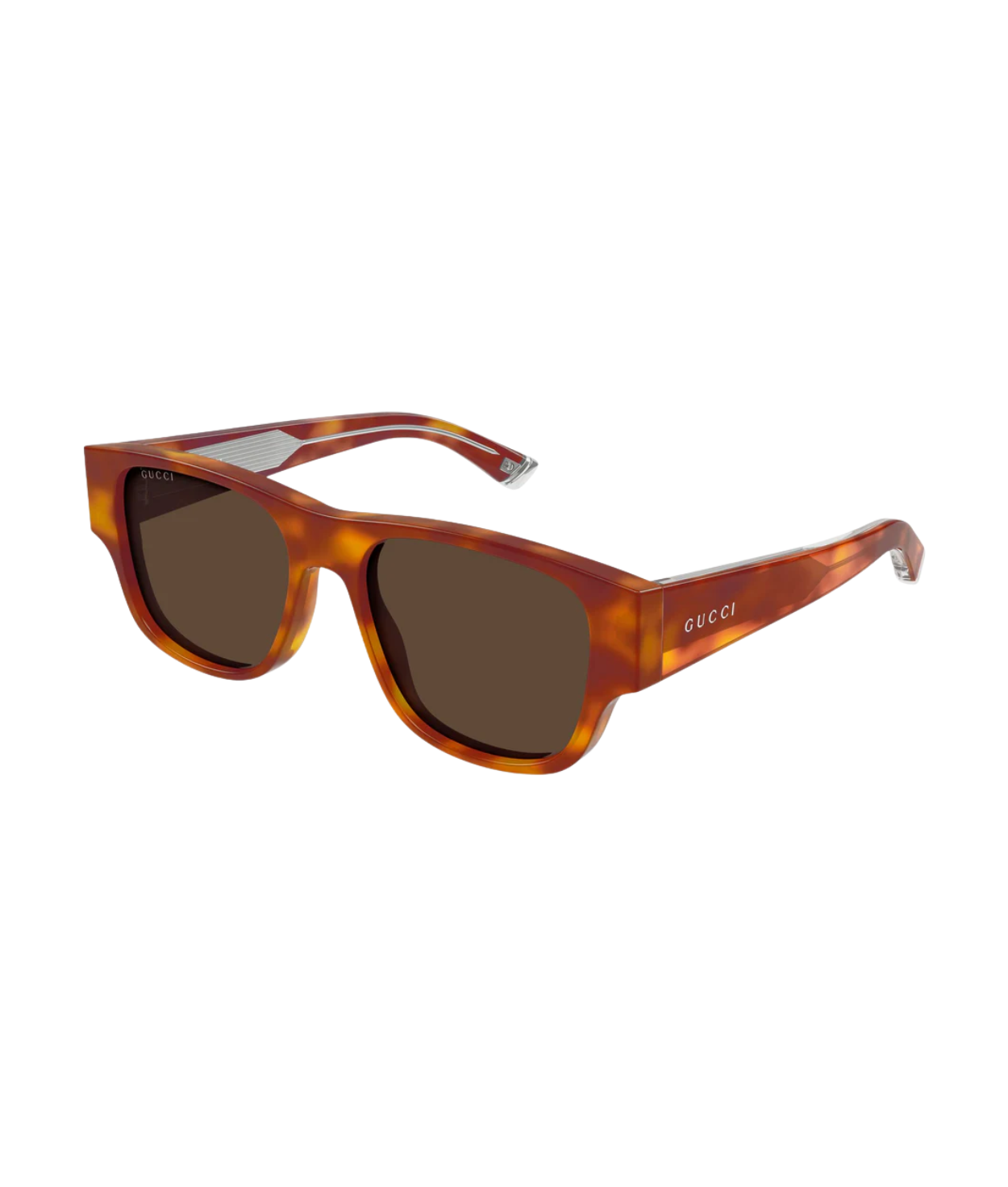 Havana-Brown
