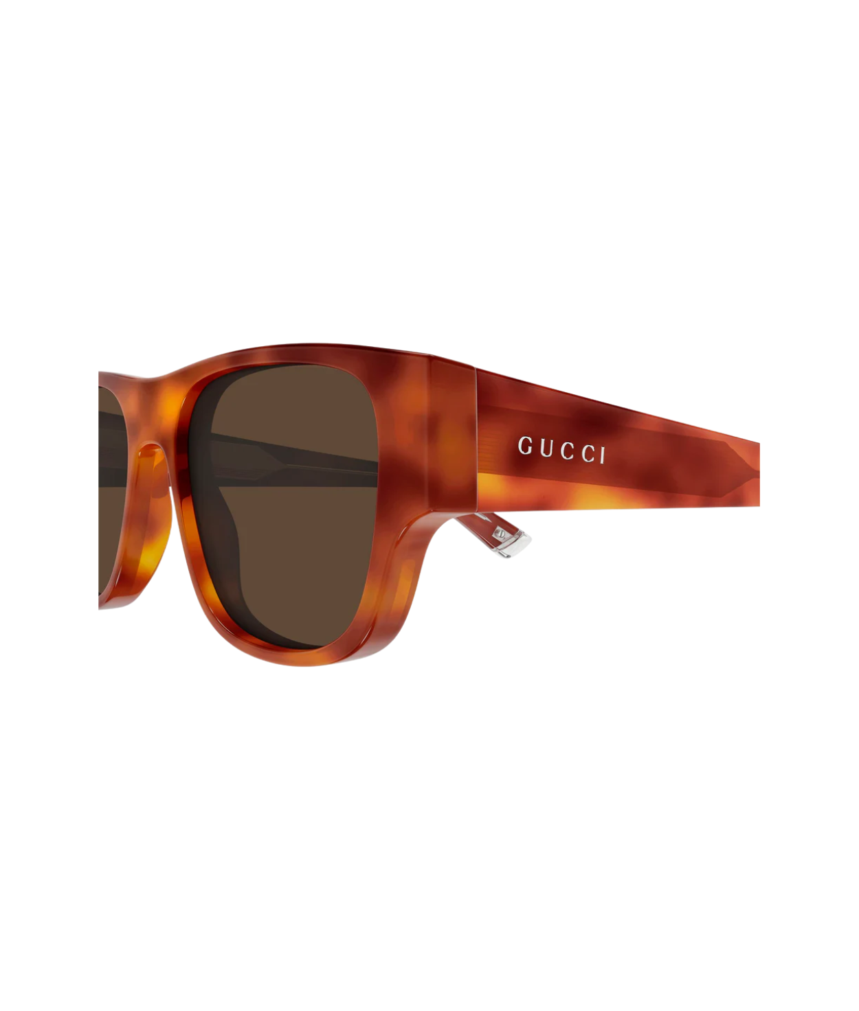 Havana-Brown