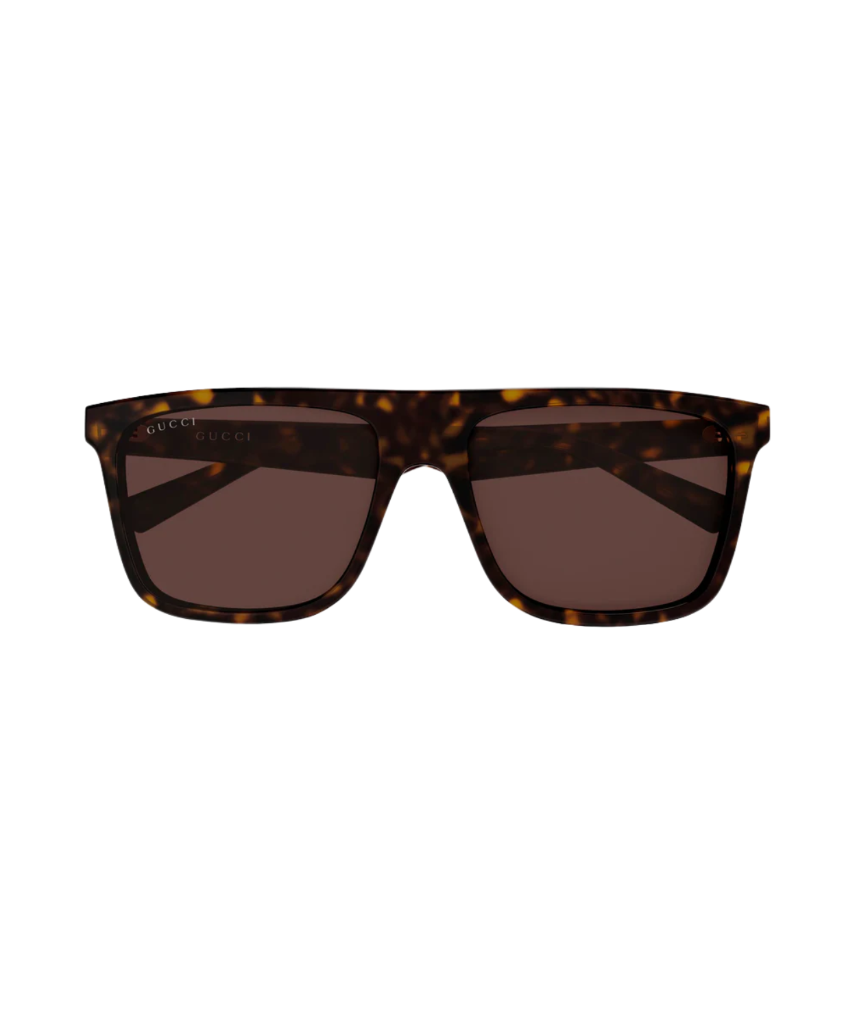 Havana-Brown