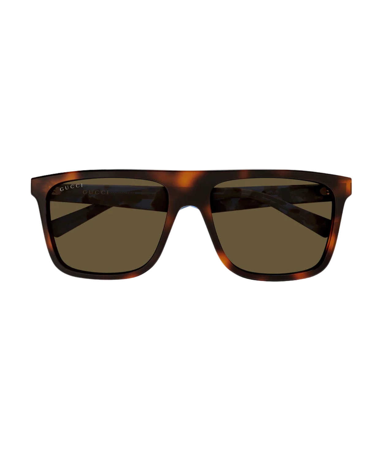 Havana Blue-Brown