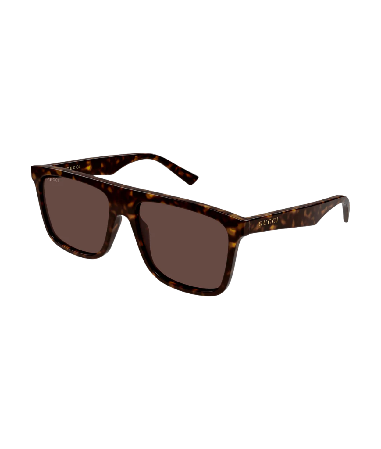 Havana-Brown