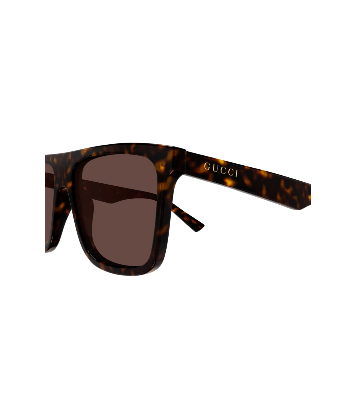 Havana-Brown