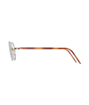 Brown Tortoiseshell