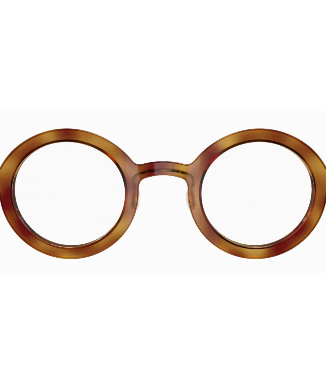 Polished Ginger Tortoise