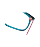 Petrol Fuchsia