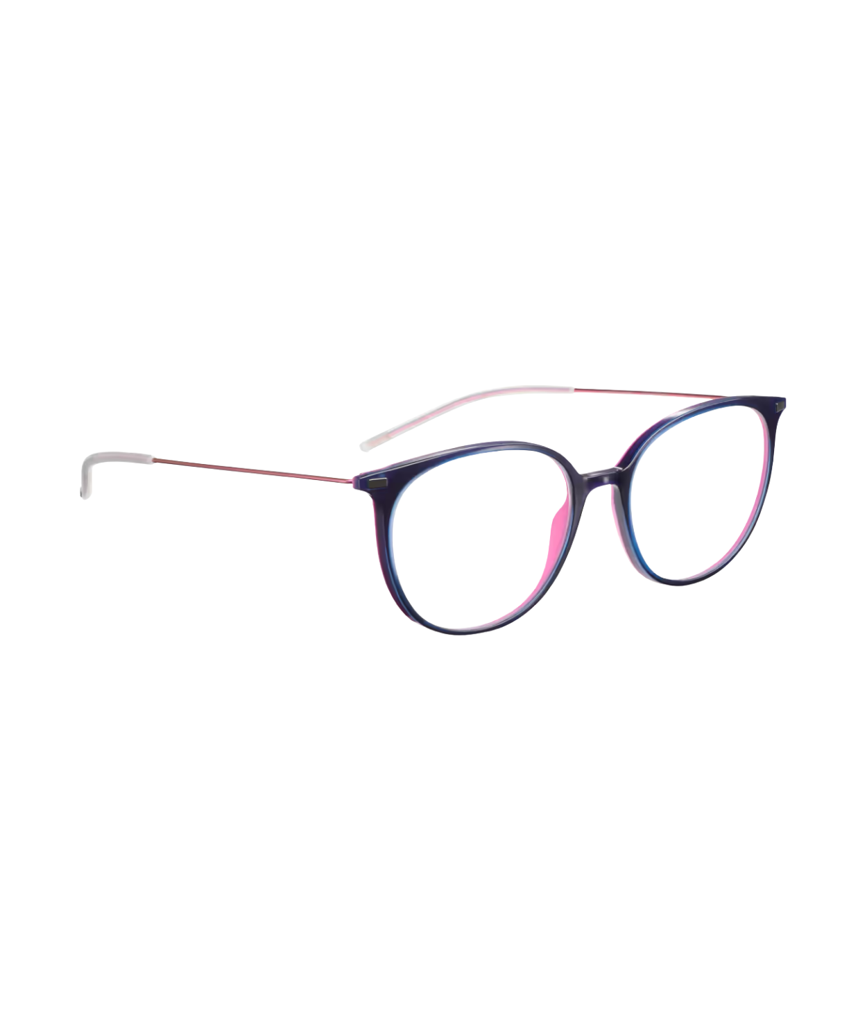 Dark Blue Fuchsia