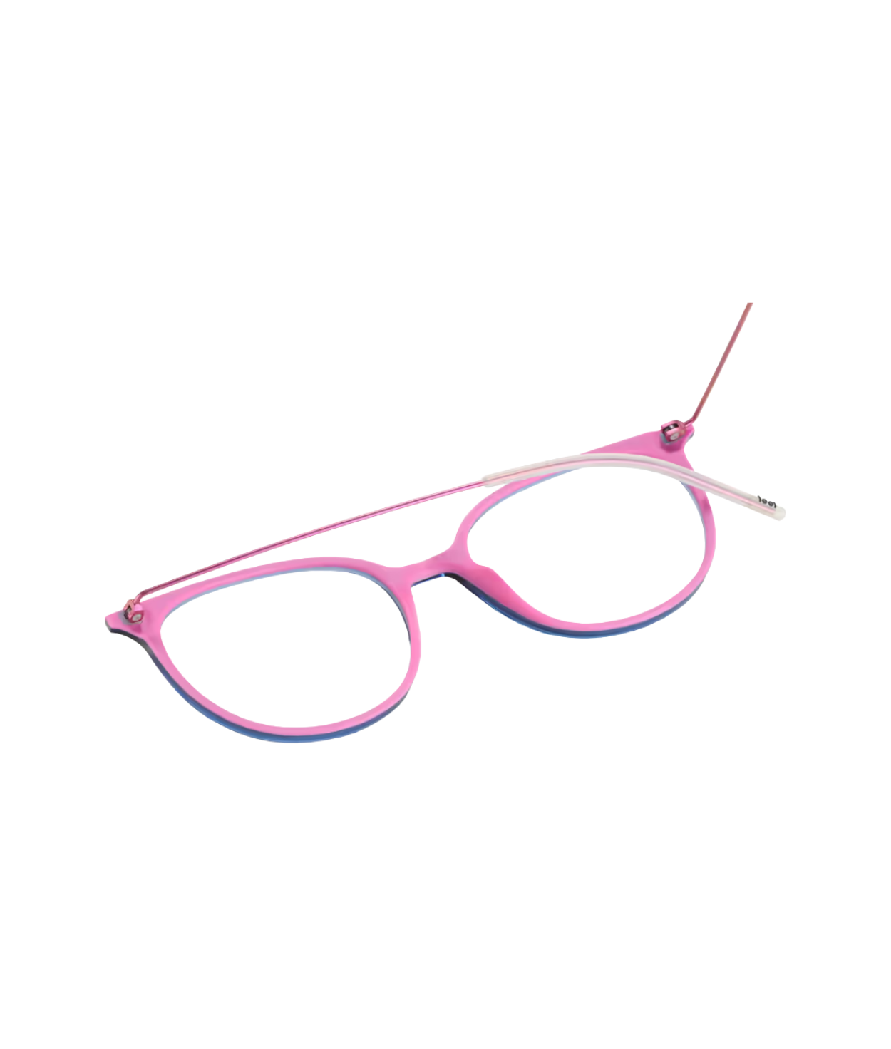Dark Blue Fuchsia