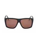 Shiny Black-Brown