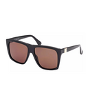 Shiny Black-Brown