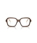 Brown Transparent