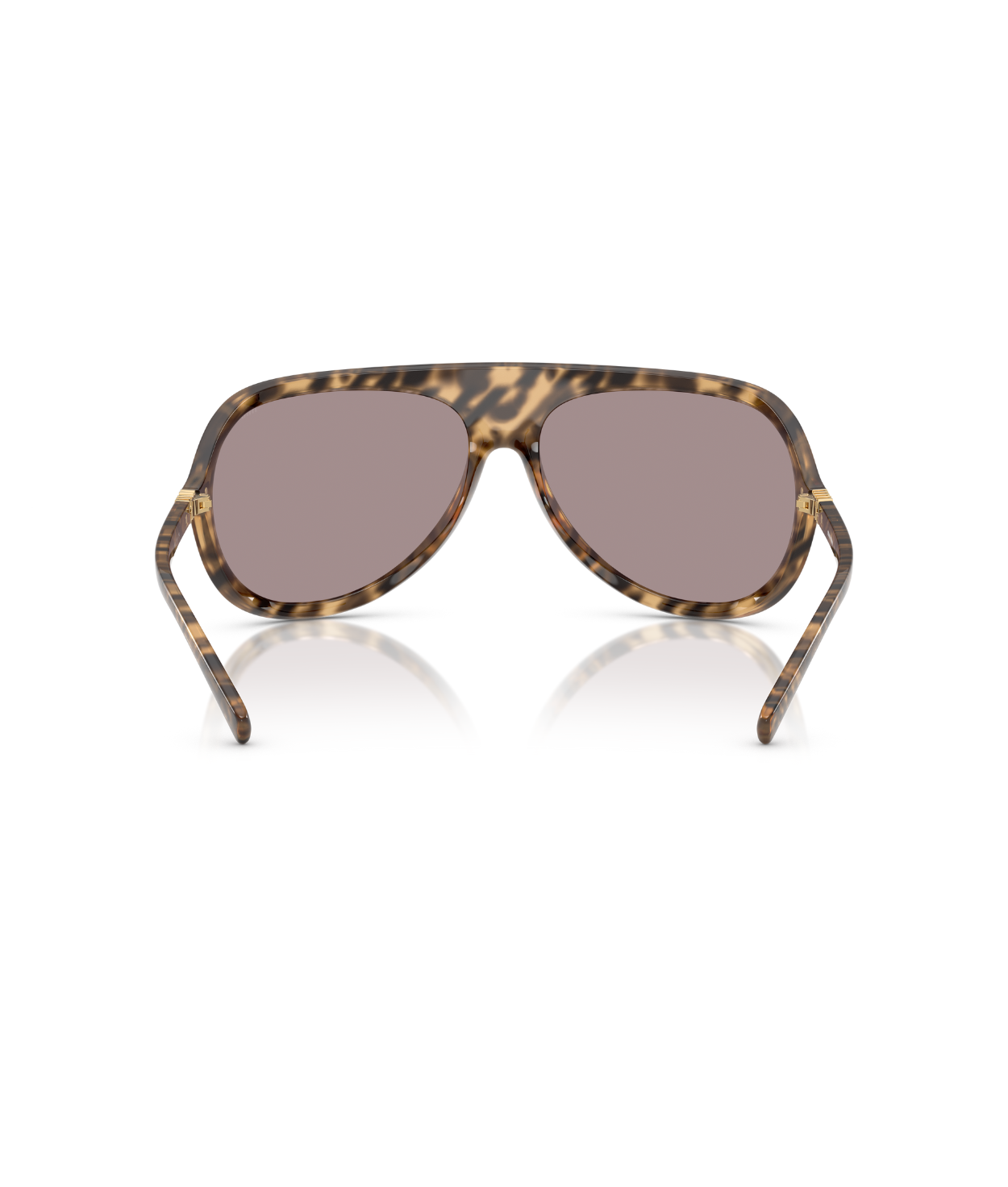 Havana-Light Purple Brown