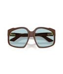 Chocolate-Light Blue