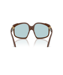 Chocolate-Light Blue
