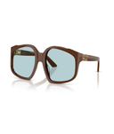Chocolate-Light Blue