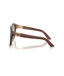 Brown-Light Brown