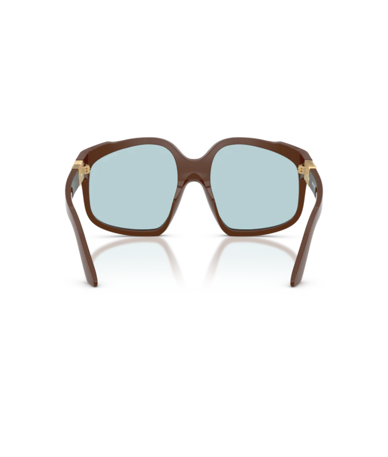 Chocolate-Light Blue