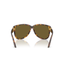 Honey Havana-Dark Brown