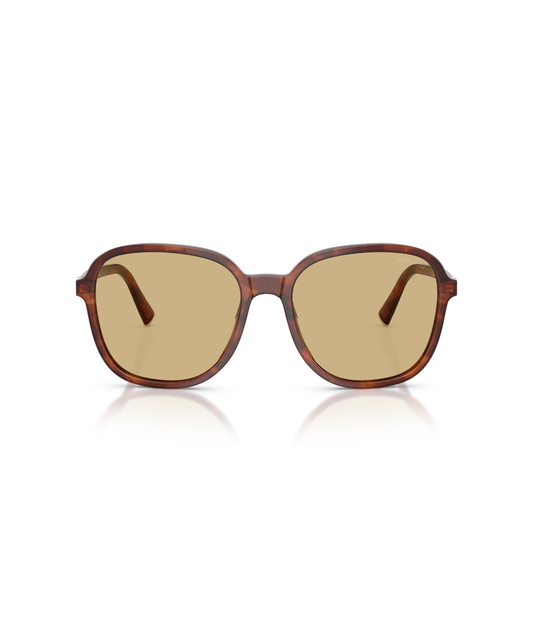 Striped Tobacco-Yellow