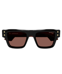 Shiny Black-Brown