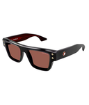 Shiny Black-Brown