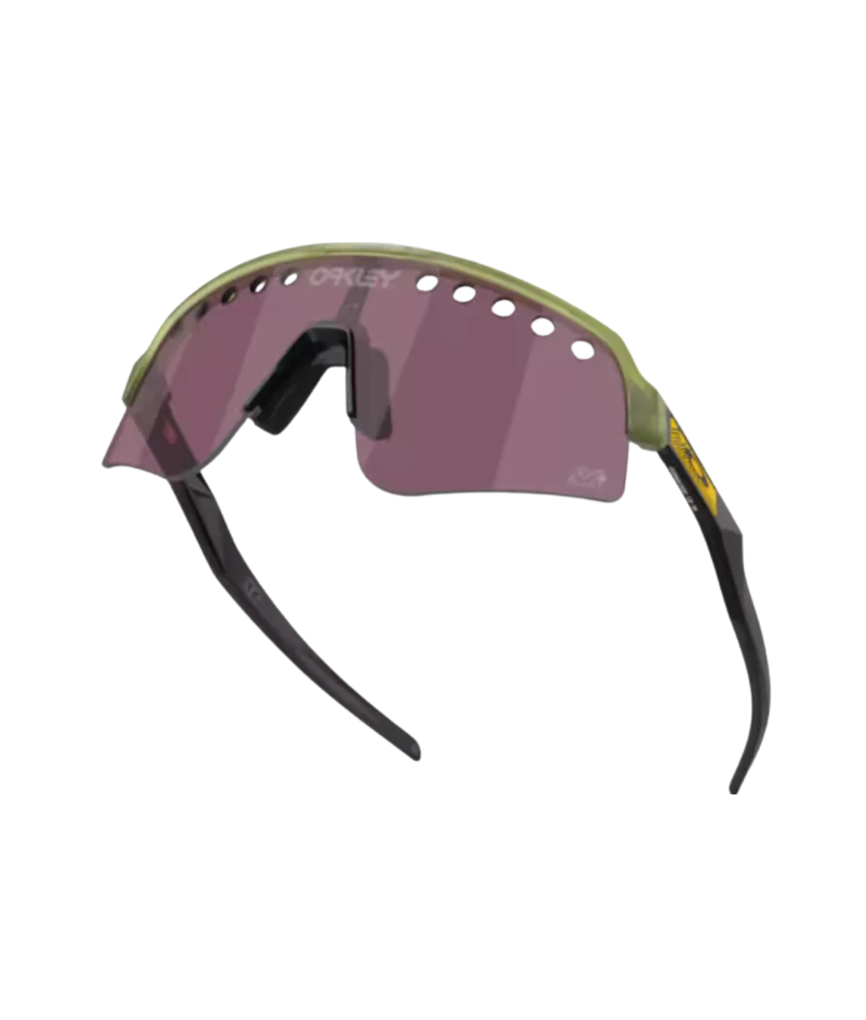 Transparent fern-Prizm road black