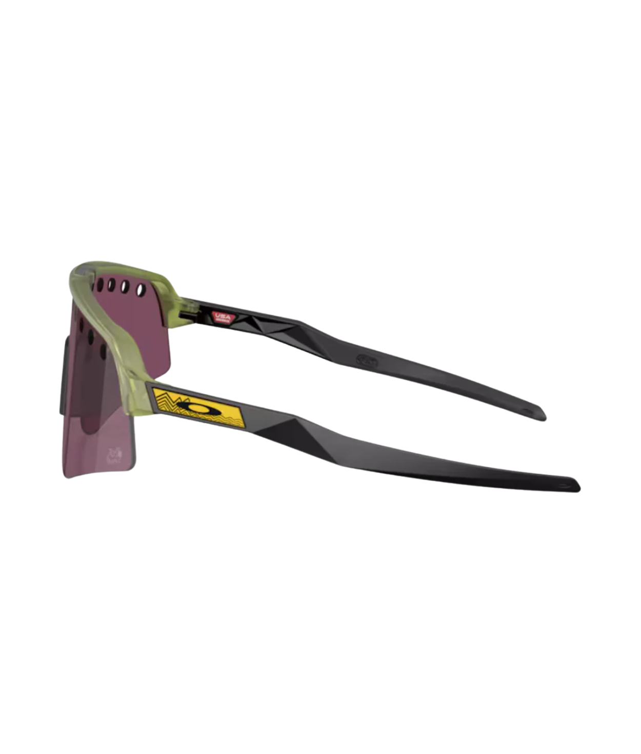 Transparent fern-Prizm road black