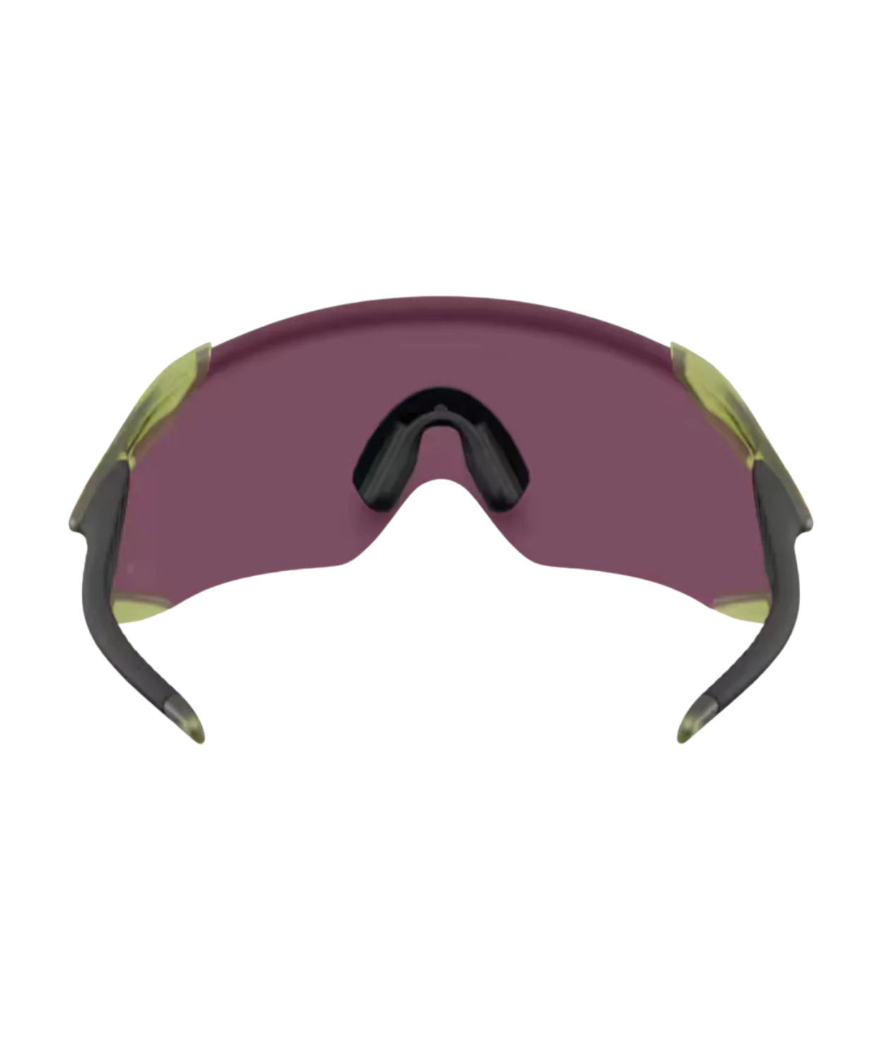 Transparent fern-Prizm road black