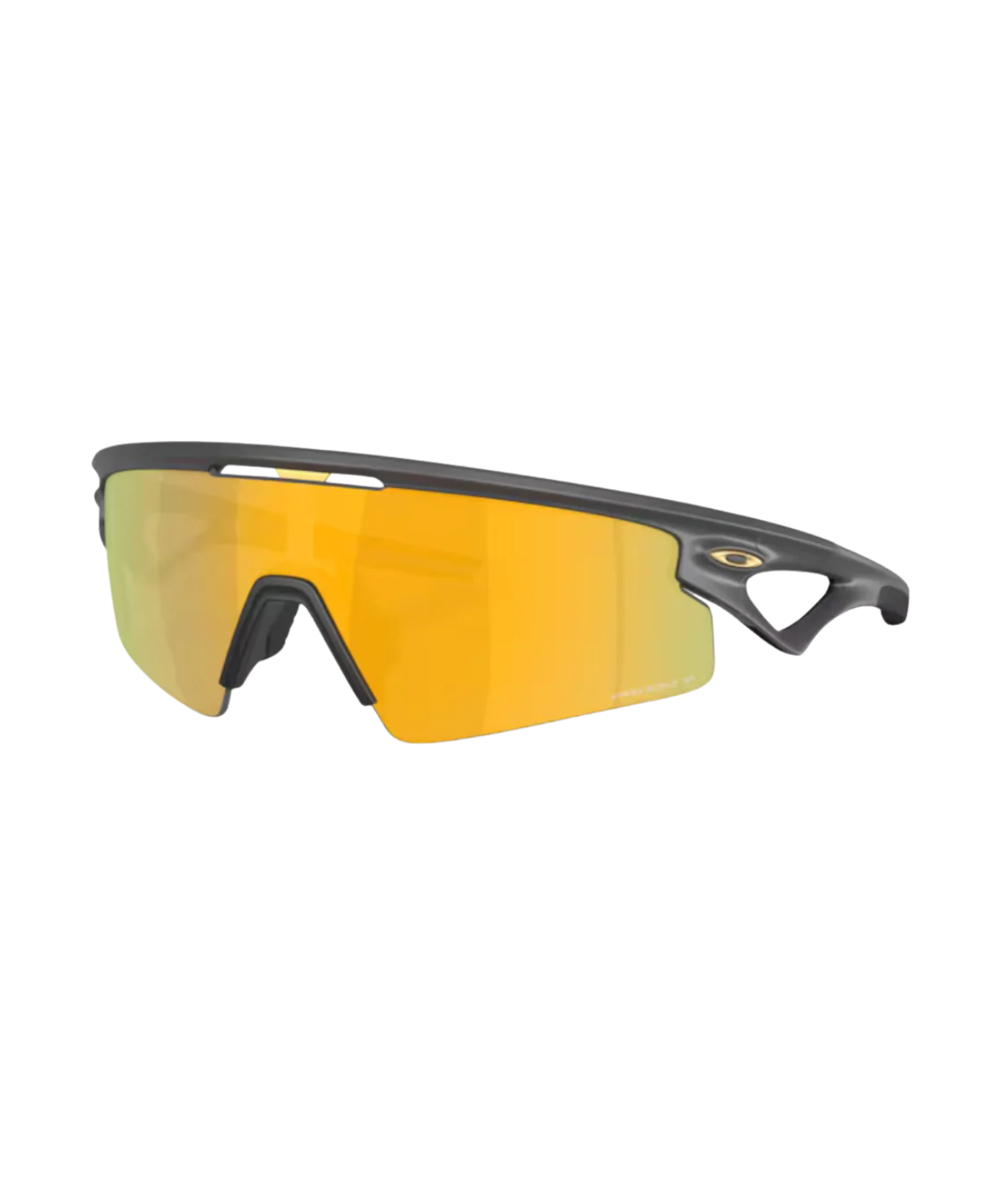 Matte carbon-Prizm 24k polarized