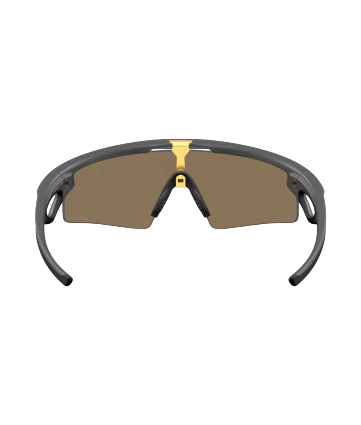 Matte carbon-Prizm 24k polarized