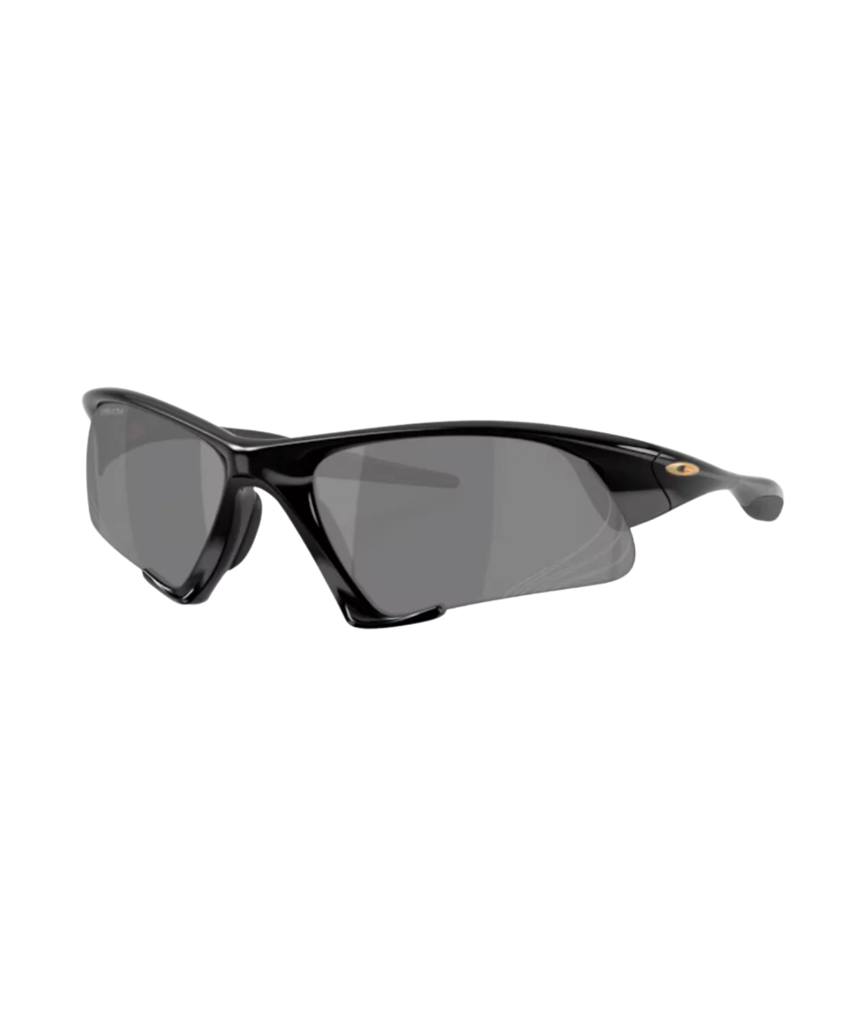 Polished black-Prizm black polarized