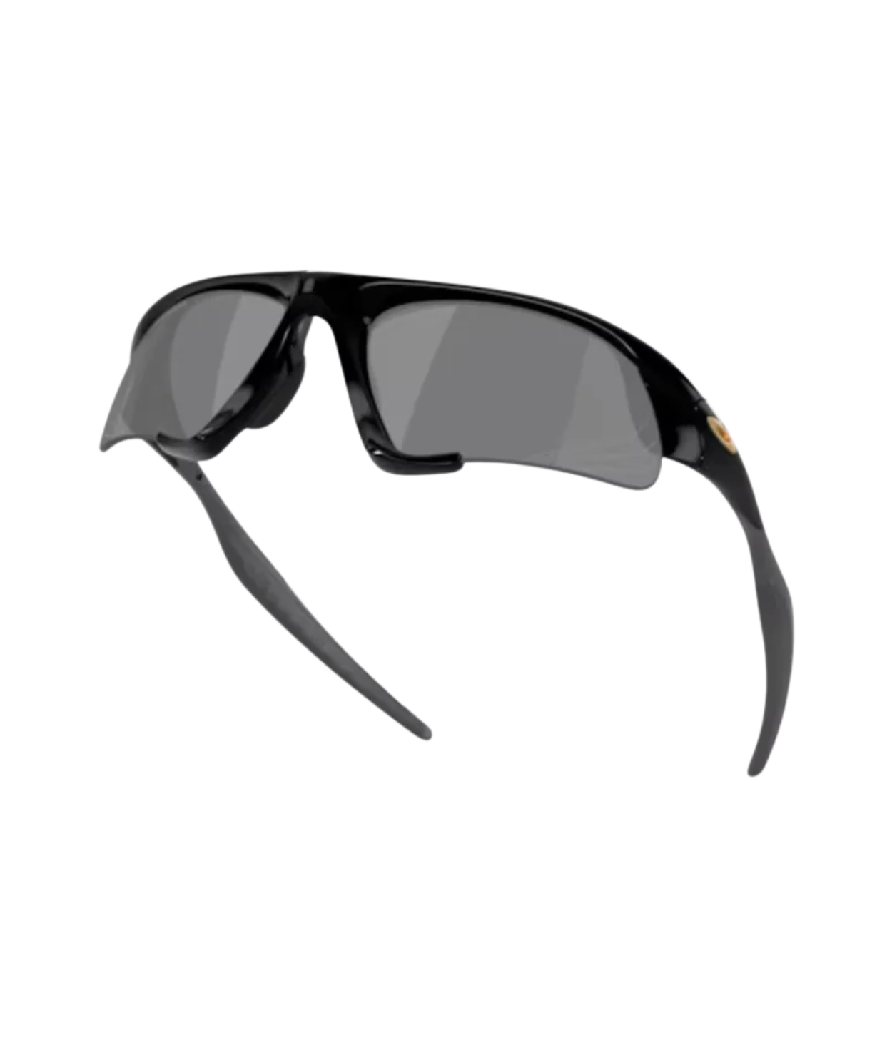 Polished black-Prizm black polarized