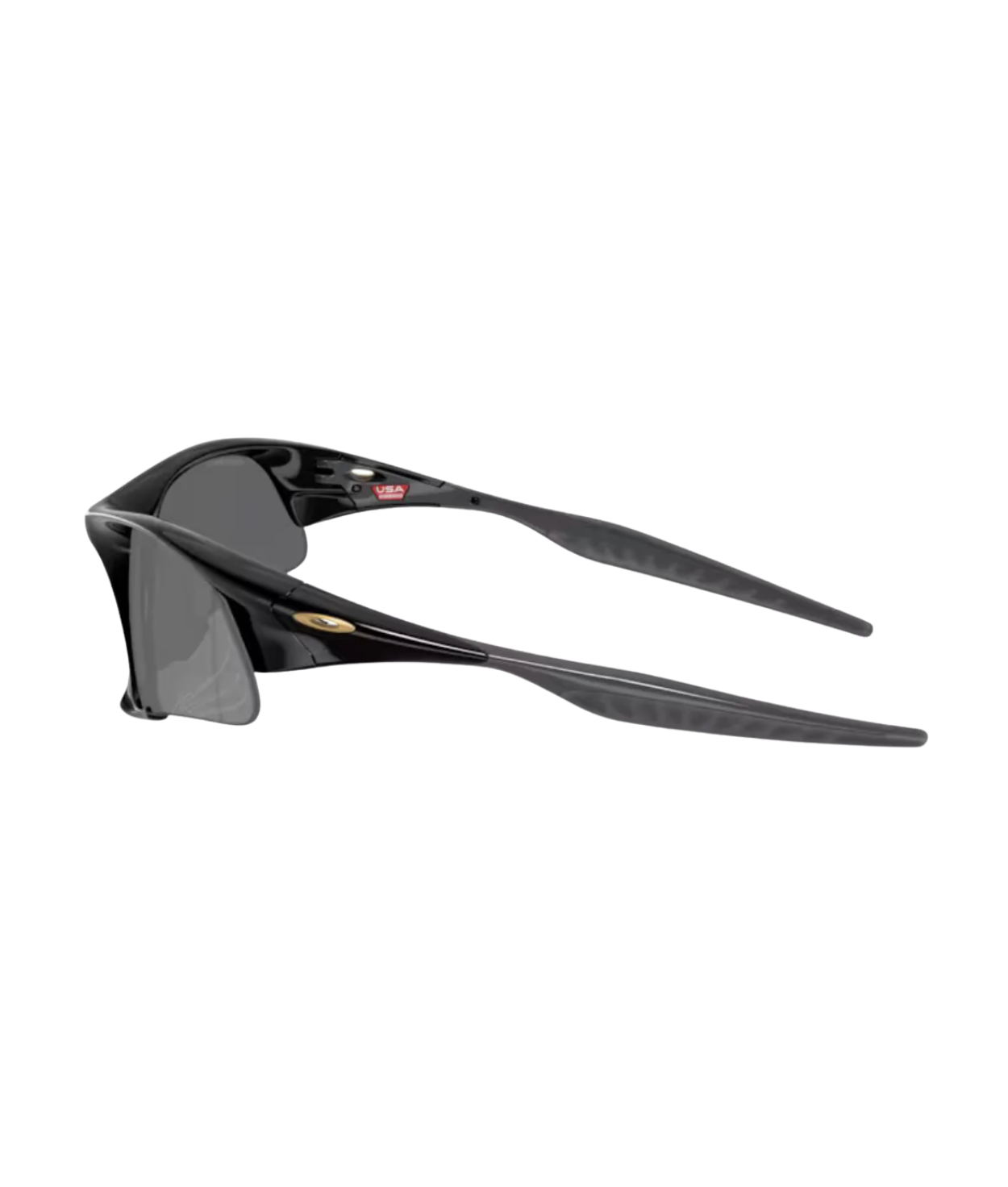 Polished black-Prizm black polarized