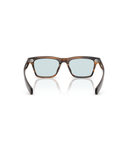 Tuscany tortoise-Sky blue wash to dark