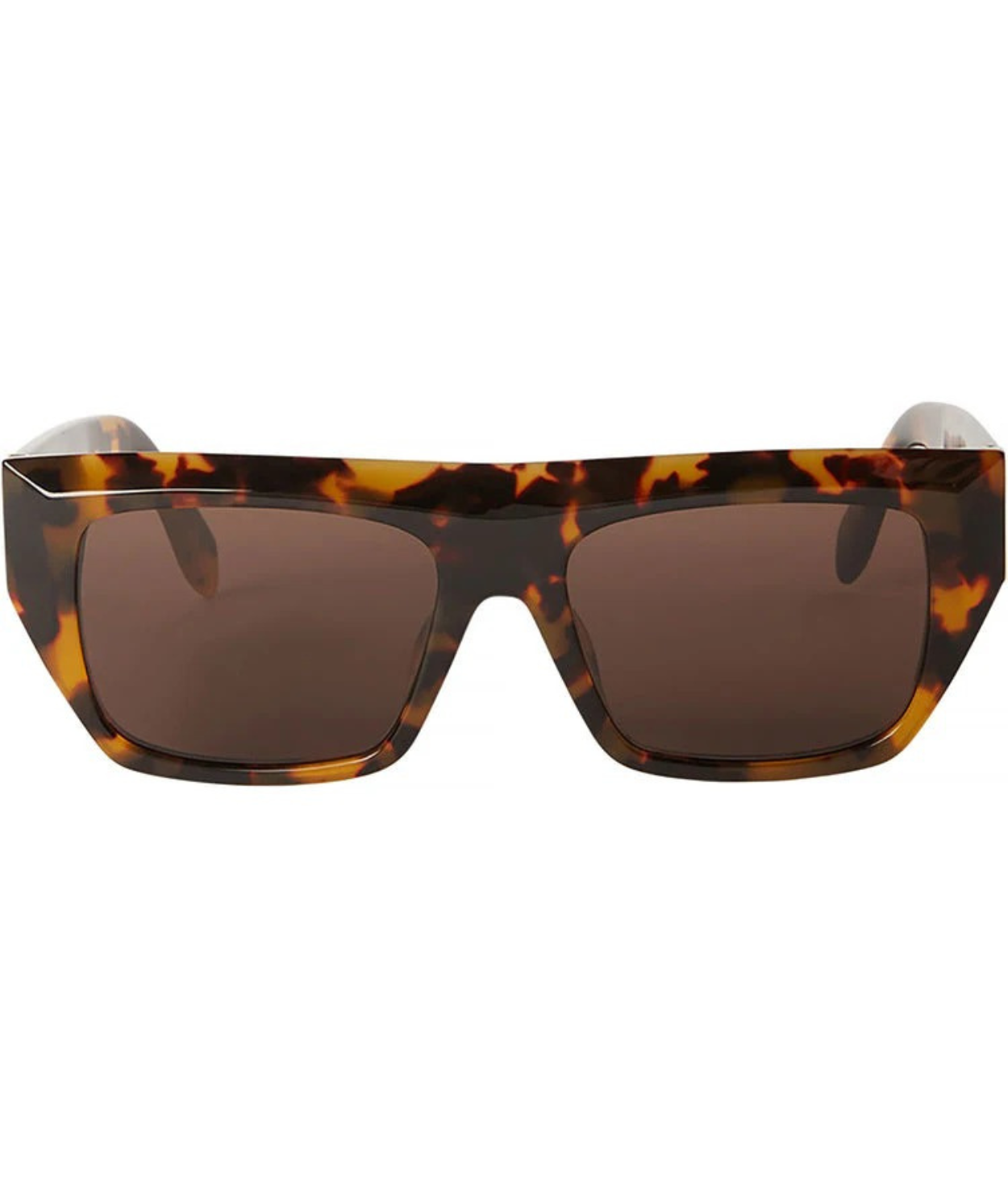 Havana-Brown