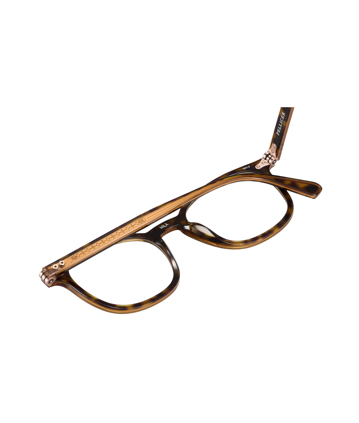 Brown Havana