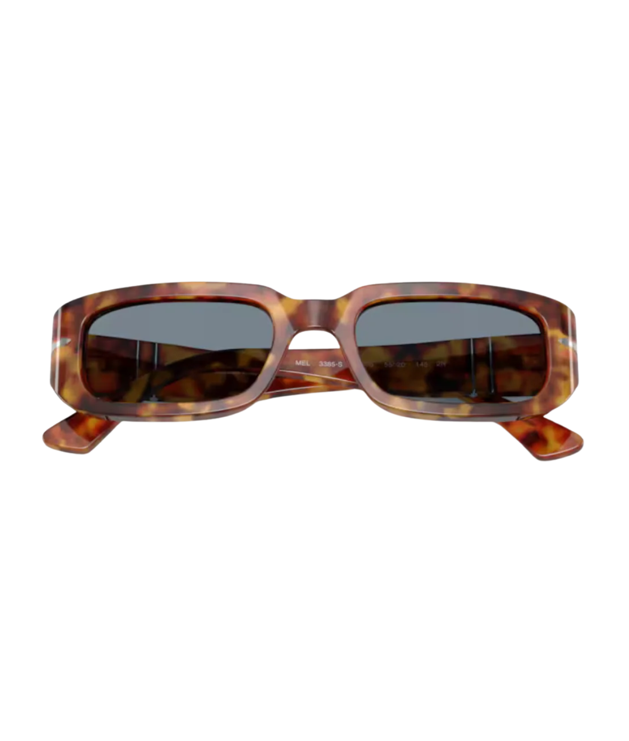 Brown tortoise-Light blue
