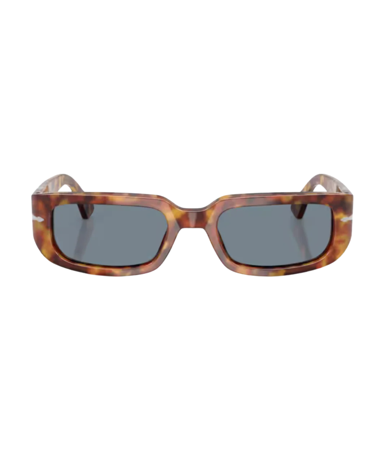Brown tortoise-Light blue