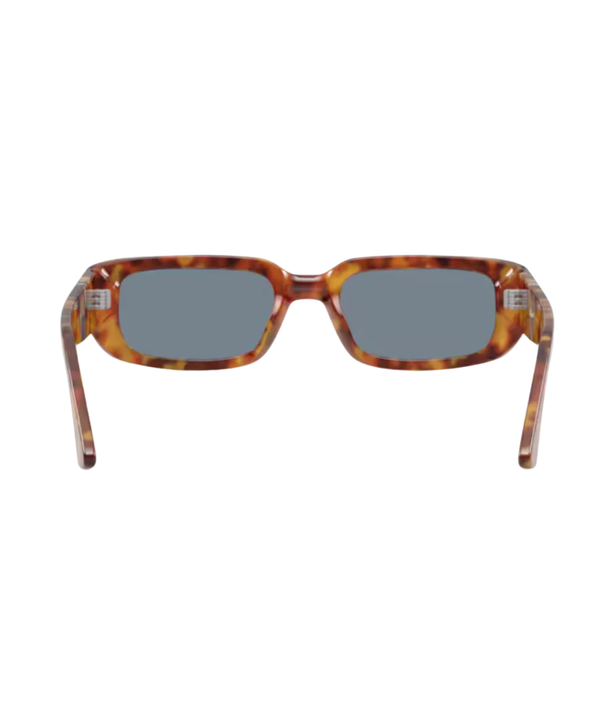 Brown tortoise-Light blue